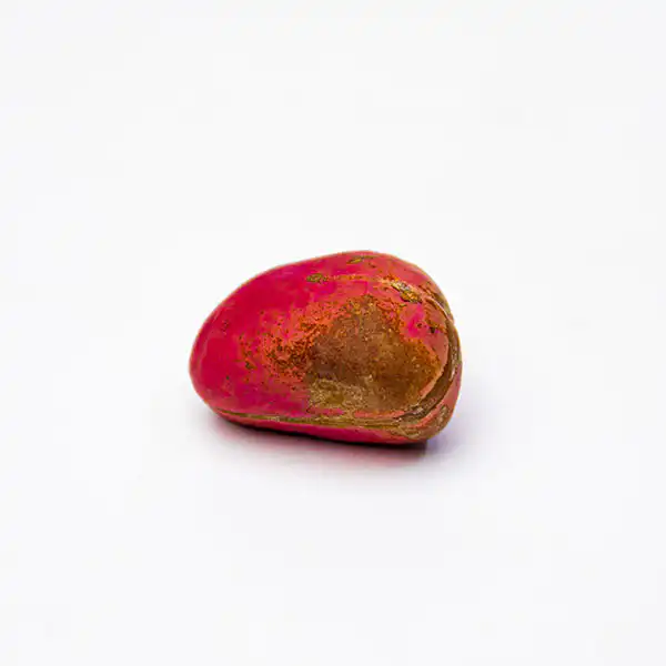 Natural West African Red Kola Nut