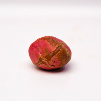 West African Red Kola Nut