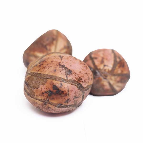 Natural West African Red Kola Nut