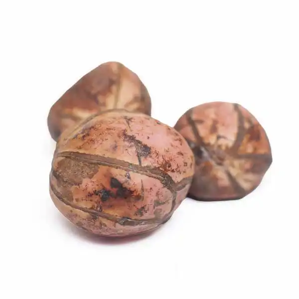 Natural West African Red Kola Nut