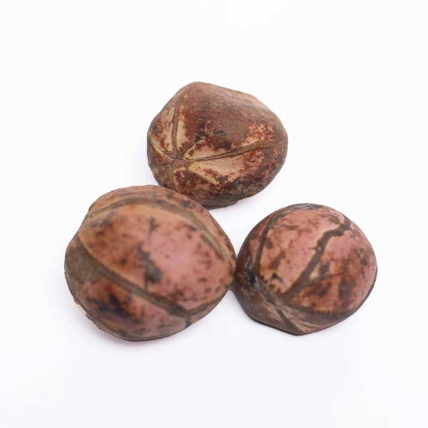 Natural West African Red Kola Nut