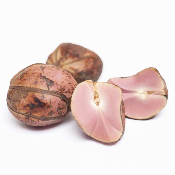 Red Kola Nuts