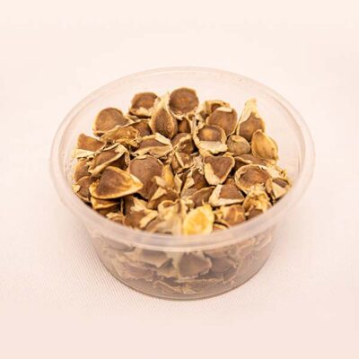 African White Moringa Seeds