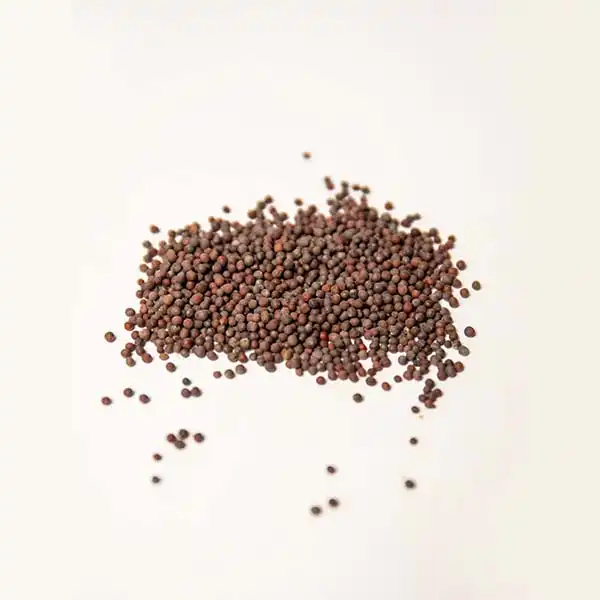 Organic Mustard Seeds for sale at Baobabmart