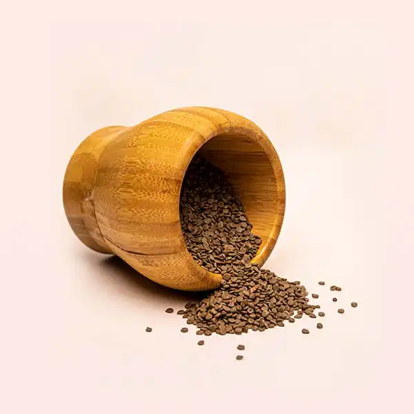 cassia obtusifolia for sale in bulk, dried African herb for wellness and detox, available at BaobabMart cassia obtusifolia for sale in bulk, dried African herb for wellness and detox, available at BaobabMart