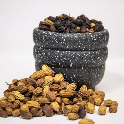 Dried neem seeds