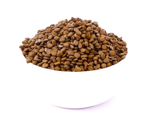 cassia-occidentalis-seeds