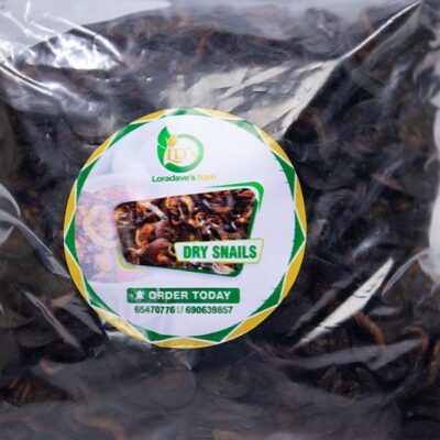 Natural Dried Snails