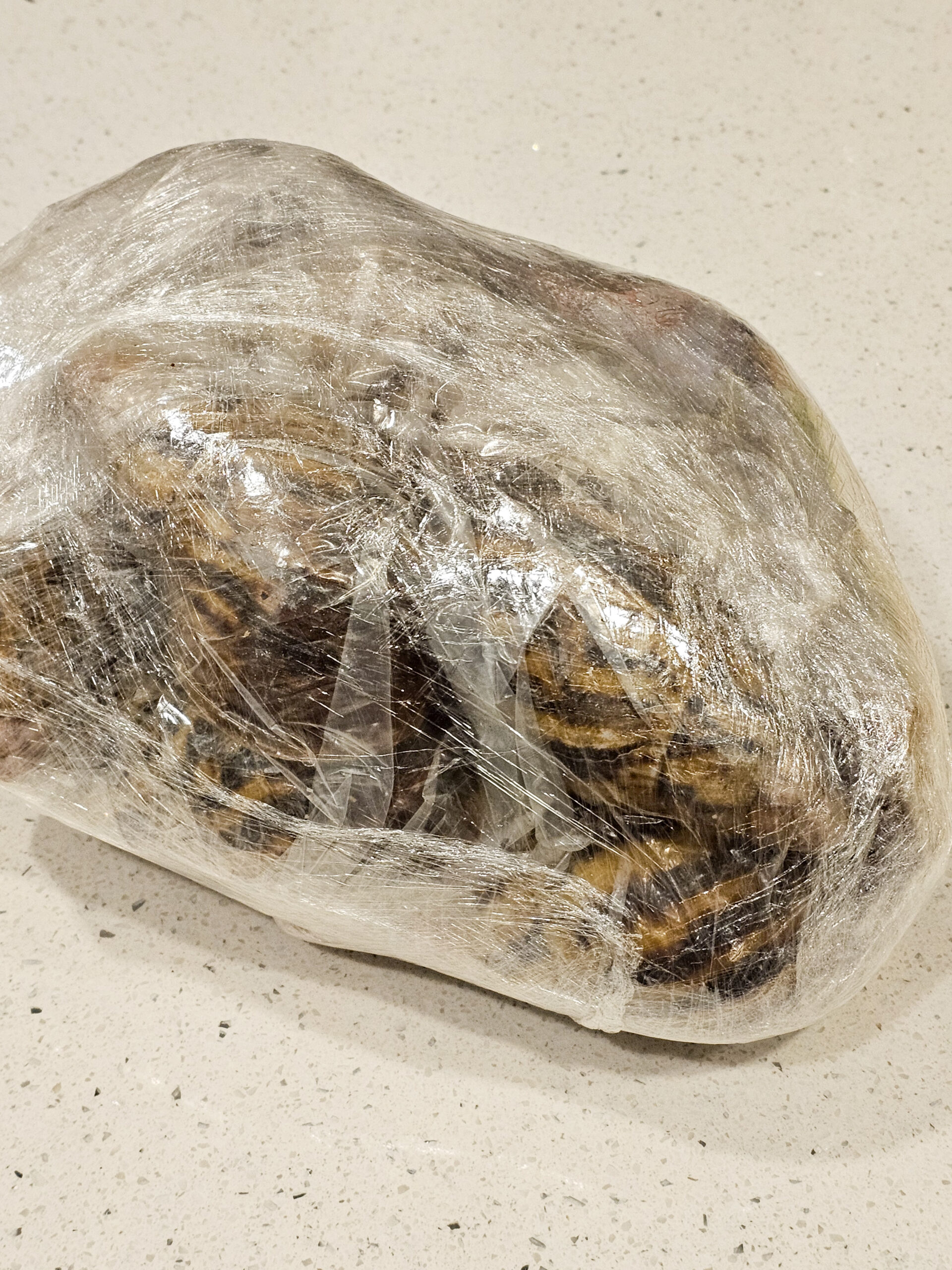Bulk African Land Snail Shell - 1kg