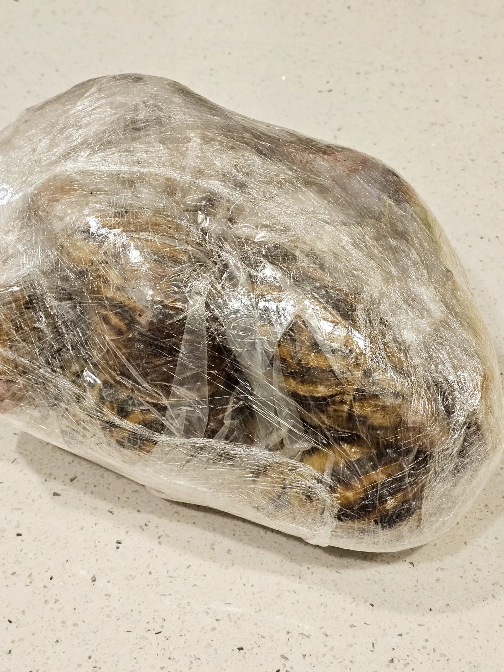 Bulk African Land Snail Shell - 1kg (35 oz)