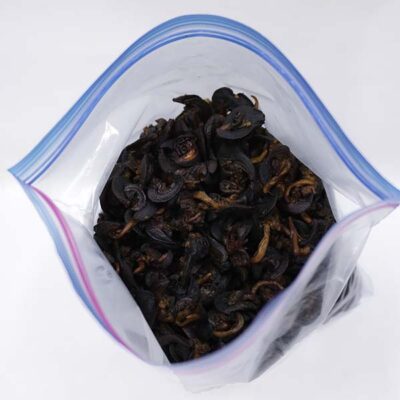 Natural Dried Snails