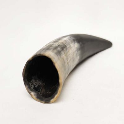 Natural Cow Ox Horn