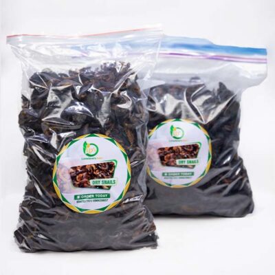 Natural Dried Snails