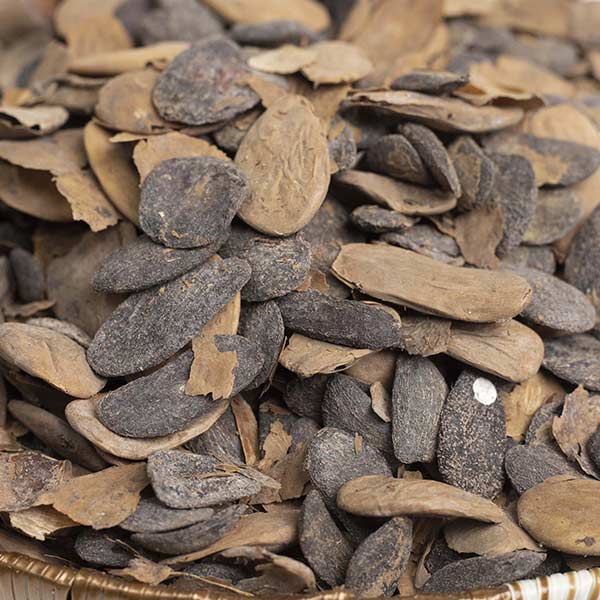 Akuamma Seed Akuamma Seed