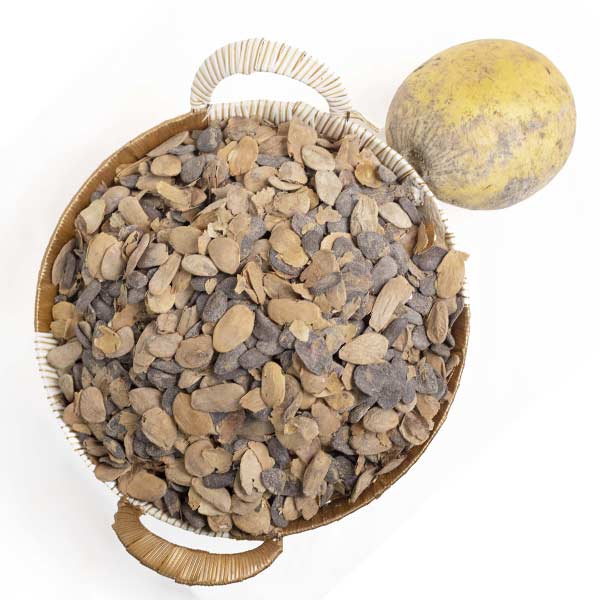 Akuamma Seed Akuamma Seed