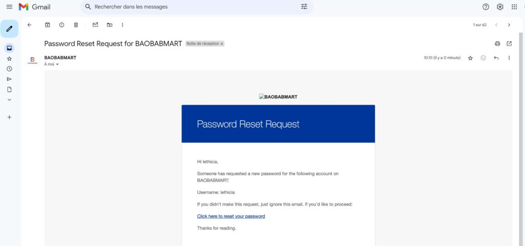 confirming password reset request mail