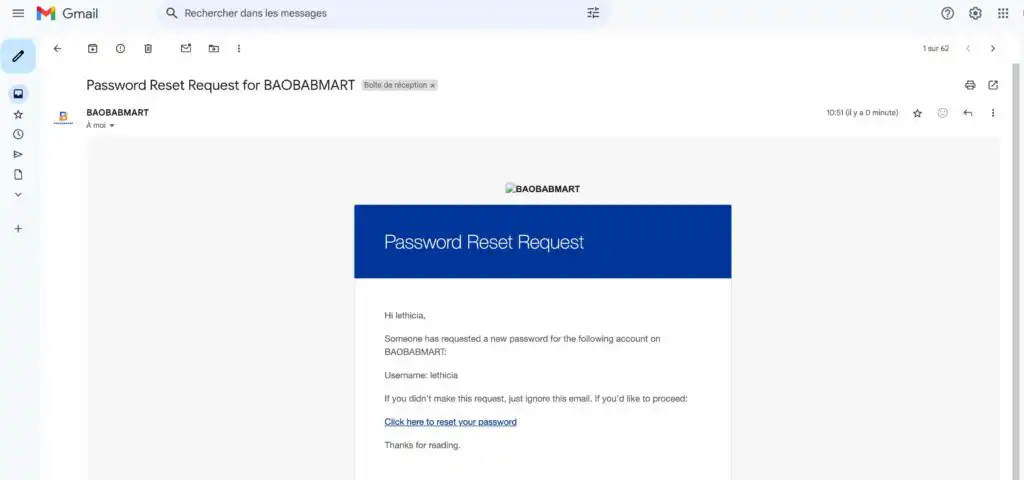 How to Change or Reset Your Password of Your Baobabmart Account: A Complete Guide confirming password reset request mail