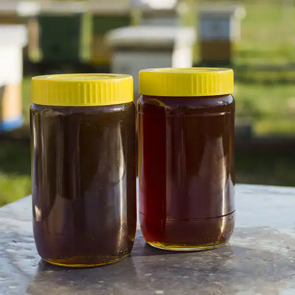 Bulk Natural Honey Online 2 Bulk Natural Honey Online - Pure Organic Honey Available at Baobabmart