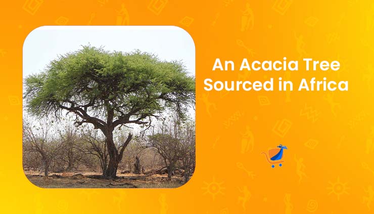 What is Natural Arabic Gum?