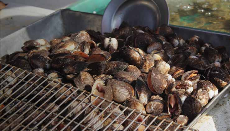 Cooking with Natural Dried Snails - Baobabmart Blogs