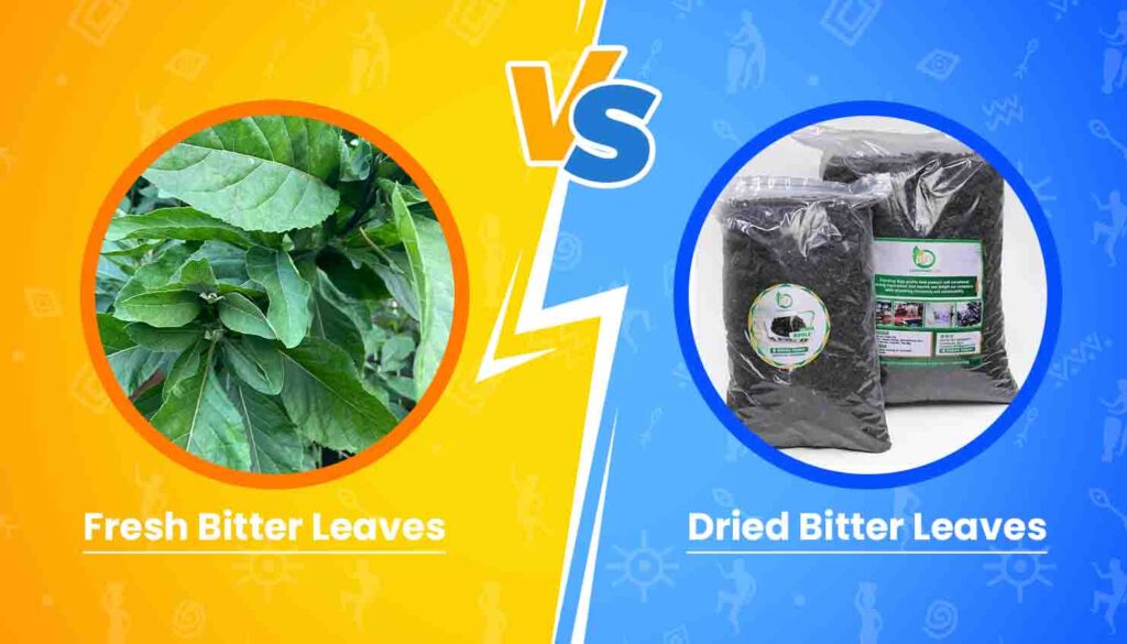 Fresh and dried bitter leaves Article Baobabmart