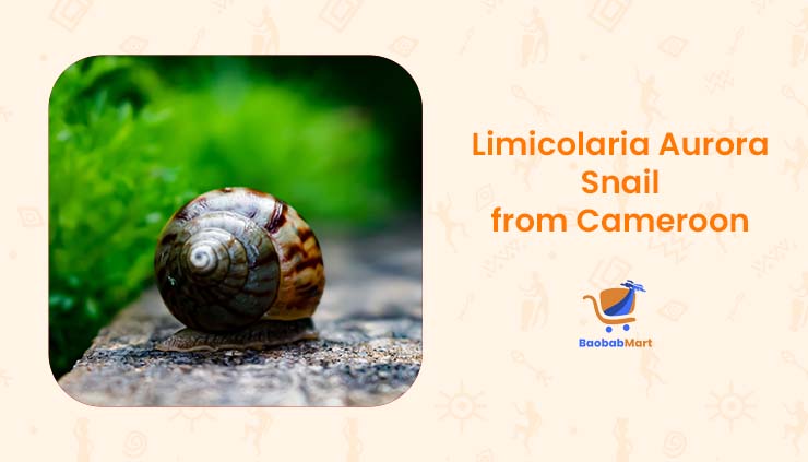 What Are the Different Snail Species from Cameroon?