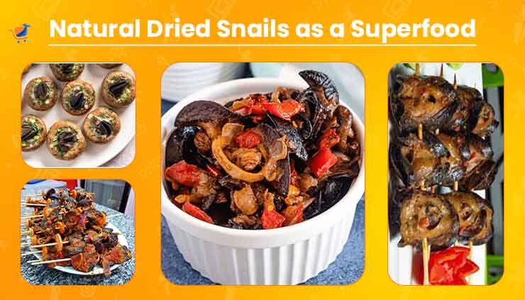 Natural Dried Snails as a Superfood - Baobabmart Article