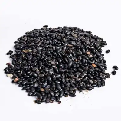Fagioli neri secchi biologici africani – Fagioli tartaruga neri premium su Baobabmart