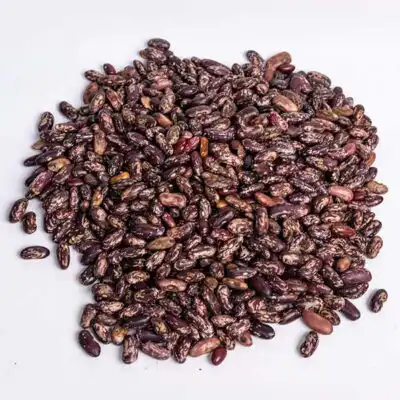 Fagioli rossi maculati biologici: naturali e nutrienti da Baobabmart