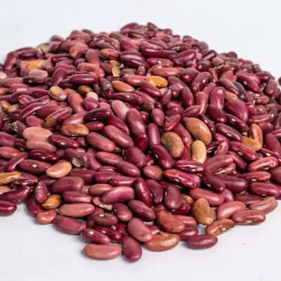 Fagioli rossi africani biologici: nutrienti e saporiti da Baobabmart
