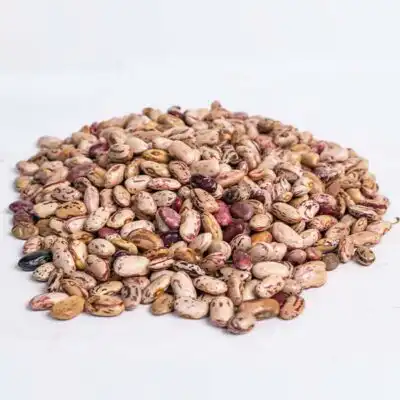 Fagioli Pinto Africani Sfusi – Fagioli Pinto Naturali Essiccati al 100% su Baobabmart