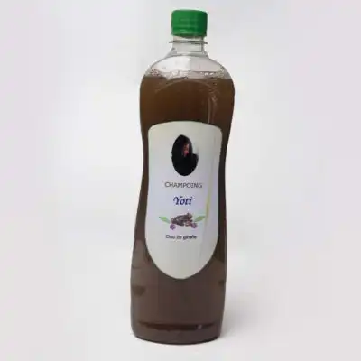 Organic African Made Shampoos for Natural Hair Care at Baobabmart