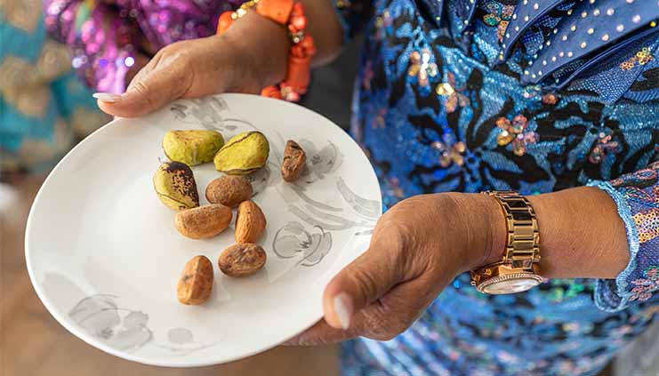 Best Ways to Consume Bitter Kola - bAOBABMART BLOG