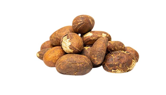 3 forms of bitter kola nuts