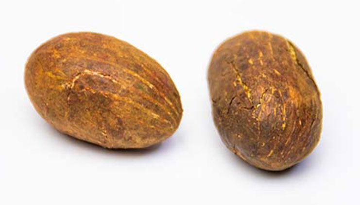 Health benefits of Bitter Kola Nuts in traditional and modern uses at BaobabMart.