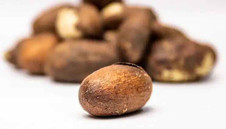 Bitter Kola