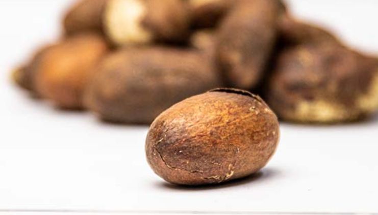 3 Forms of Bitter Kola Nuts