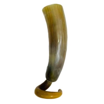 Cow Horn Traditional Cup for Sale – authentic African handcrafted cup available at BaobabMart.