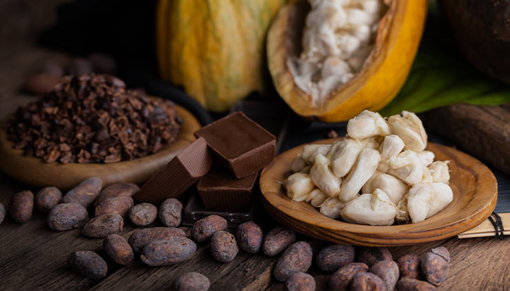 Chocolate from Cocoa Beans at Home - Baobabmart Blog