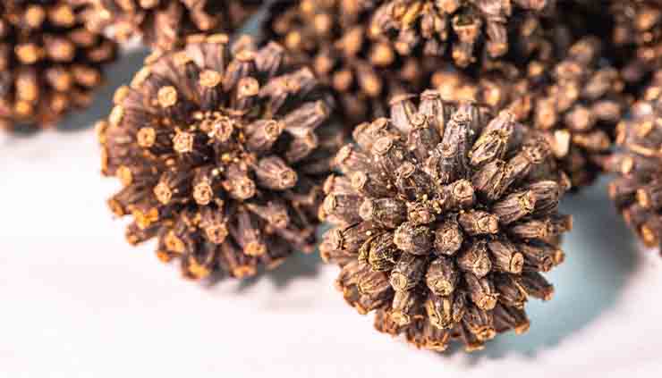 Kratom seeds - Akuamma vs Kratom