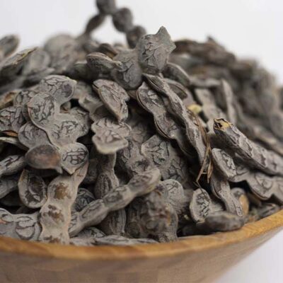 Close-up of Nep Nep Seeds for Sale Acacia nilotica