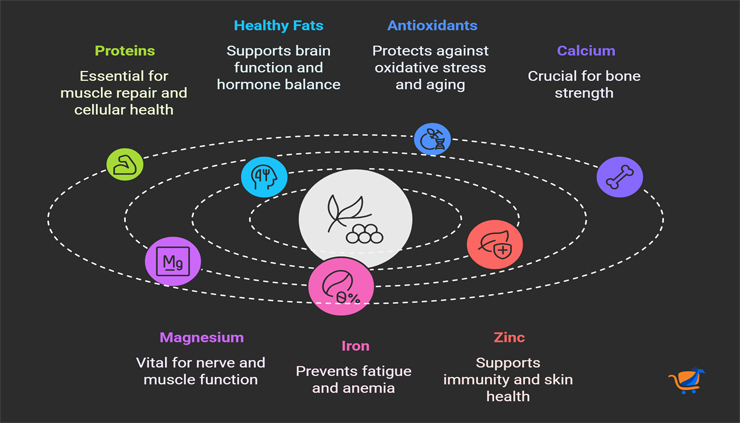 Nutritional Profile of Akpi Seeds - visual selection - Baobabmart article Akpi Seed Benefits