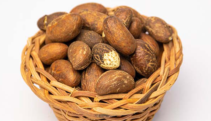 An African container full of West African Bitter kola nuts - Baobabmart article Red Kola Nuts vs Bitter Kola Nuts