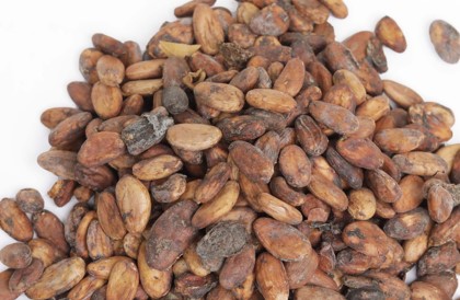 Organic Raw Cocoa Beans - 1Kg (35 oz) Natural Cacao Beans from Africa (Forastero Cocoa) photo review