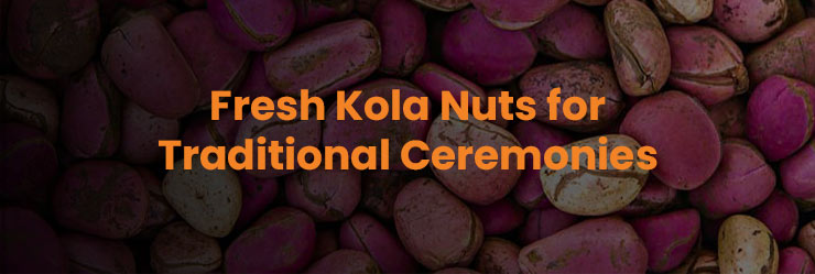 Symbolism Of Red Kola Nut And Palm Wine In African Tradition