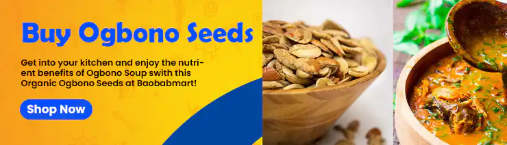 How to Grind Ogbono Seeds for Soup – Buy Quality Ogbono at Baobabmart Buy Ogbono Seeds at Baobabmart