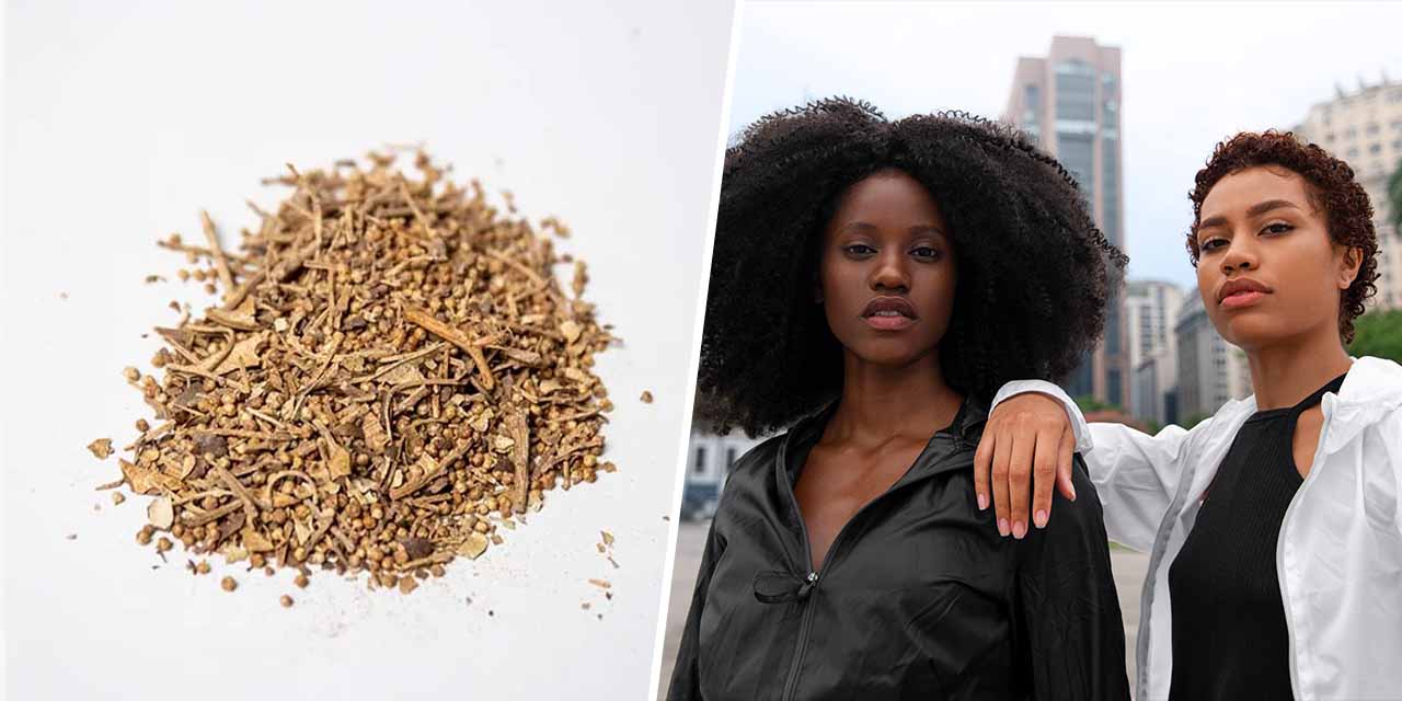 Benefits of Chebe Seeds for Hair Growth - Baobabmart Article