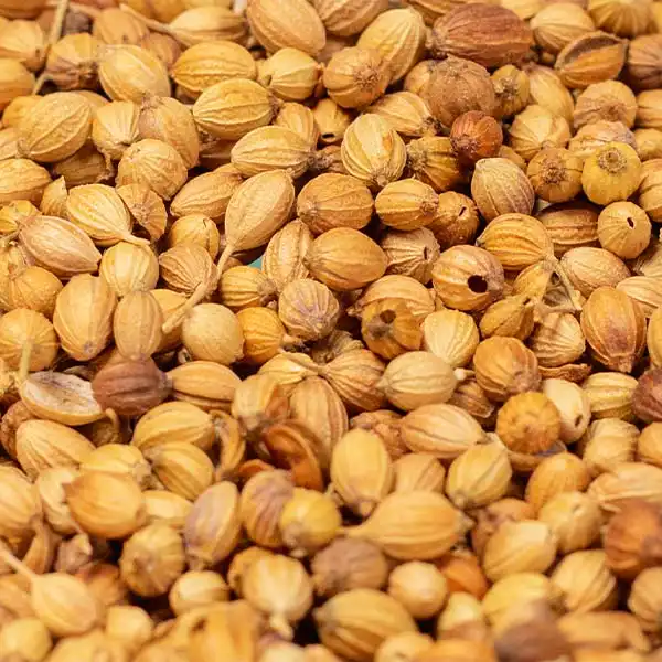 corriander 10 Bulk Organic Coriander Seeds - Baobabmart