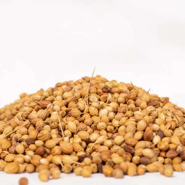corriander 3 Bulk Organic Coriander Seeds - Baobabmart