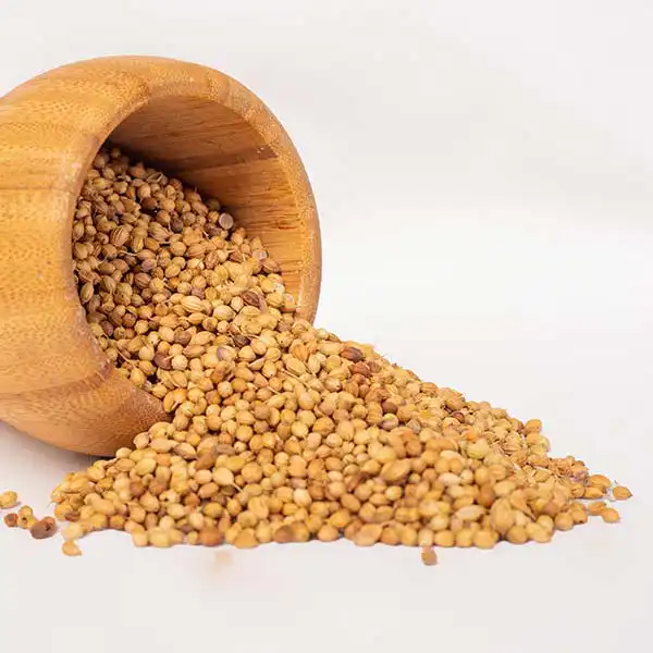 corriander 6 Bulk Organic Coriander Seeds - Baobabmart